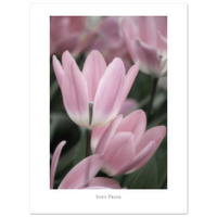 ddb6096d-aac1-4791-ad68-527d69aa4119