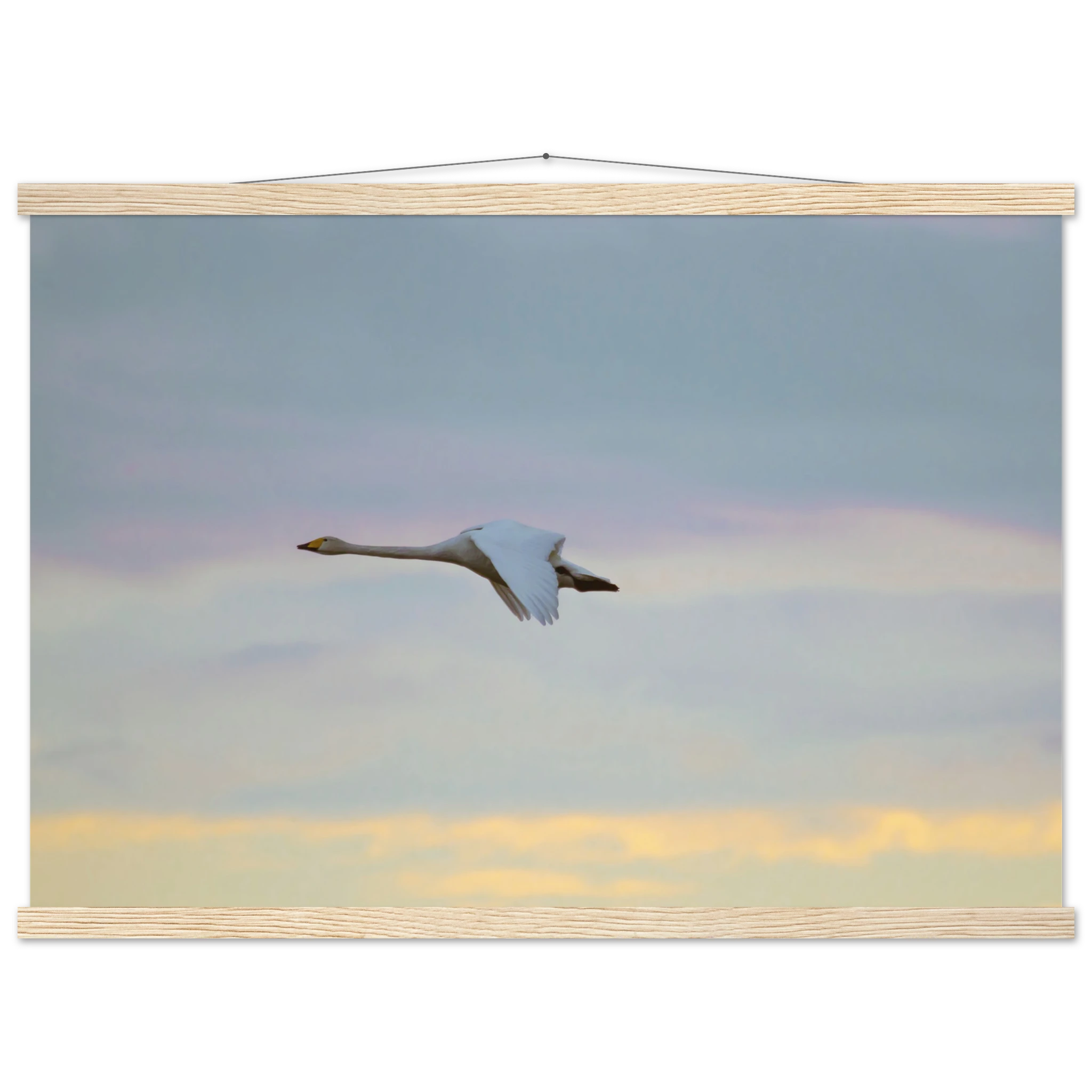 ddcf7ad4-6269-436a-aca0-7fc323f3a602