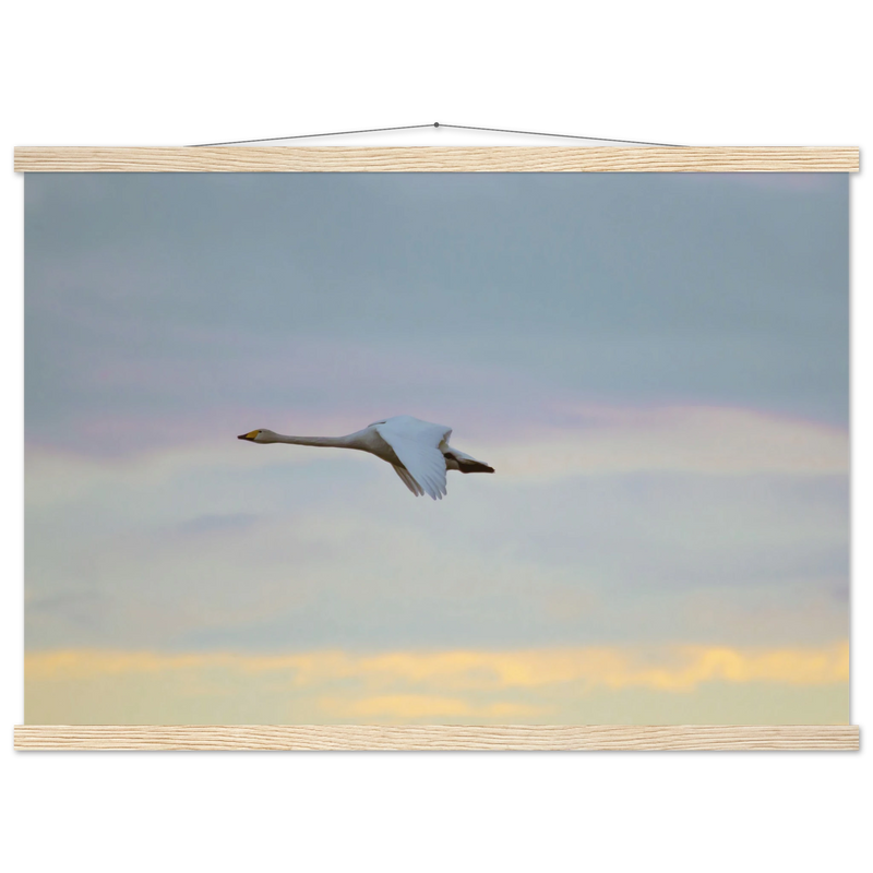 ddcf7ad4-6269-436a-aca0-7fc323f3a602