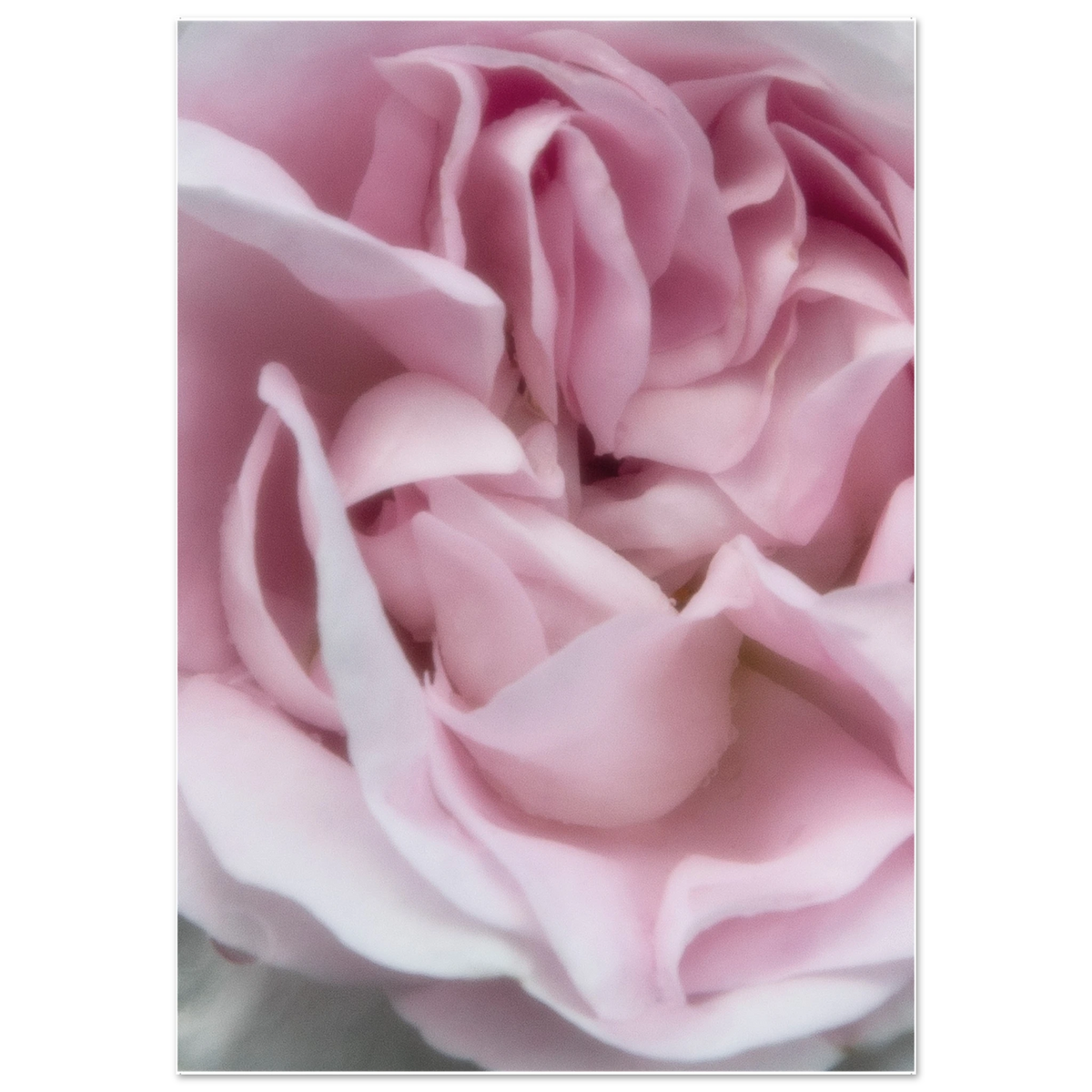 de3d8ea8-6008-45b2-95aa-ea1a319e8fb5
