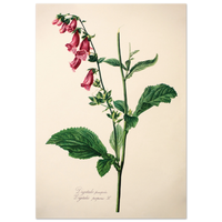 dec1b0f6-55fc-42f9-93c1-e9e128d354fa