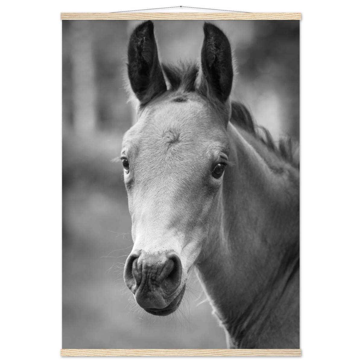 e2fb0ec4-800a-47da-a383-4947f2379950