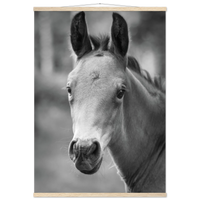 e2fb0ec4-800a-47da-a383-4947f2379950