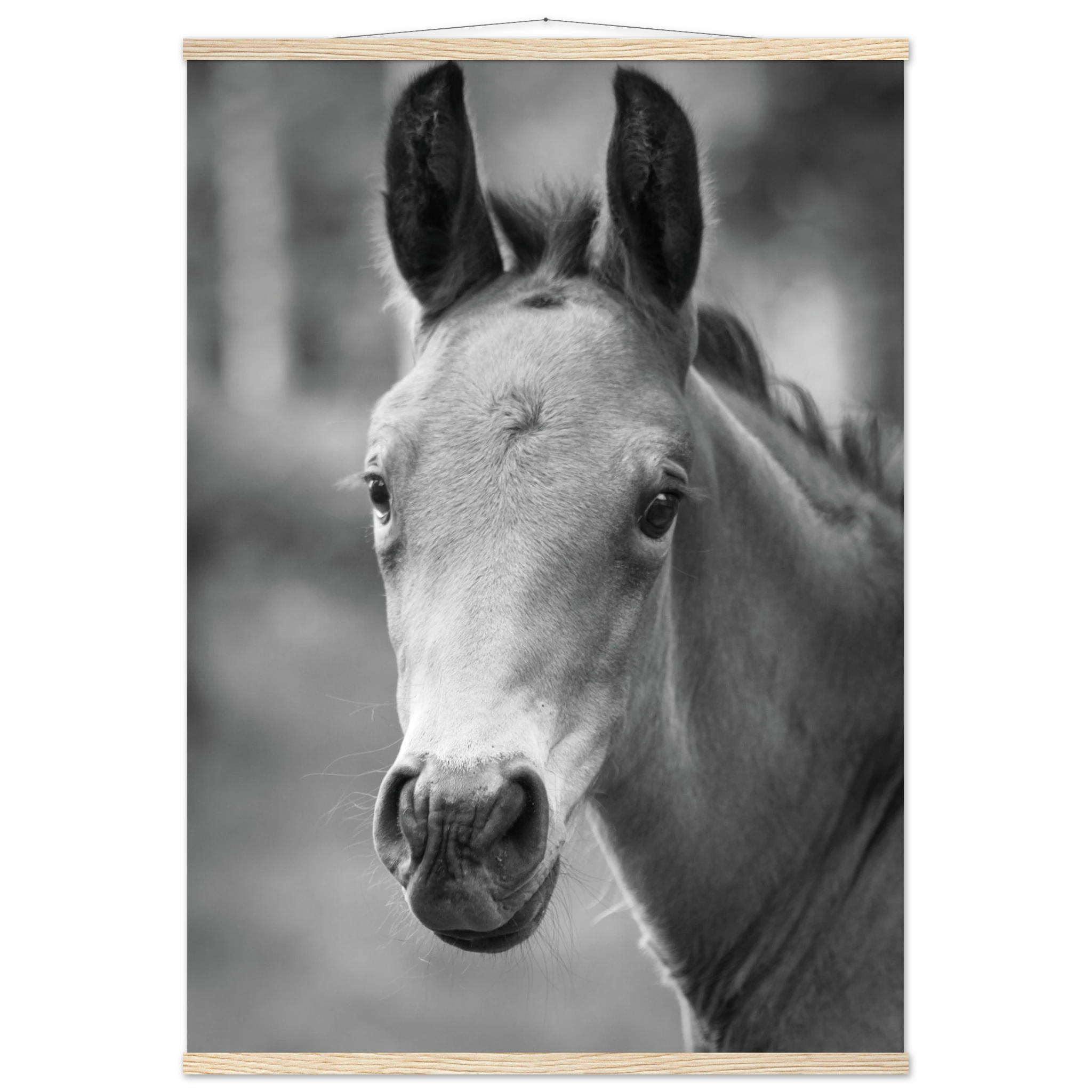 e2fb0ec4-800a-47da-a383-4947f2379950