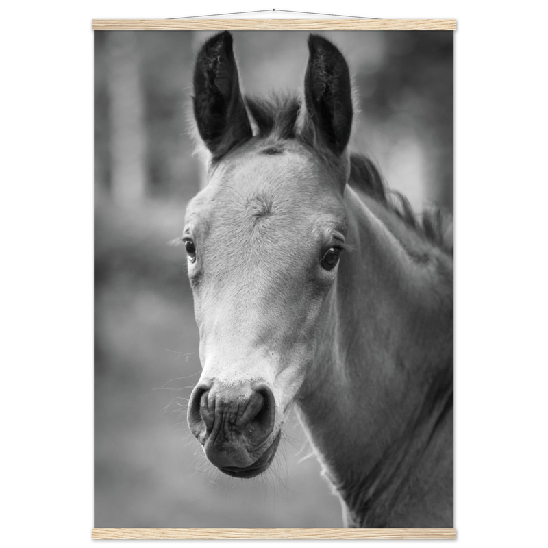 e2fb0ec4-800a-47da-a383-4947f2379950