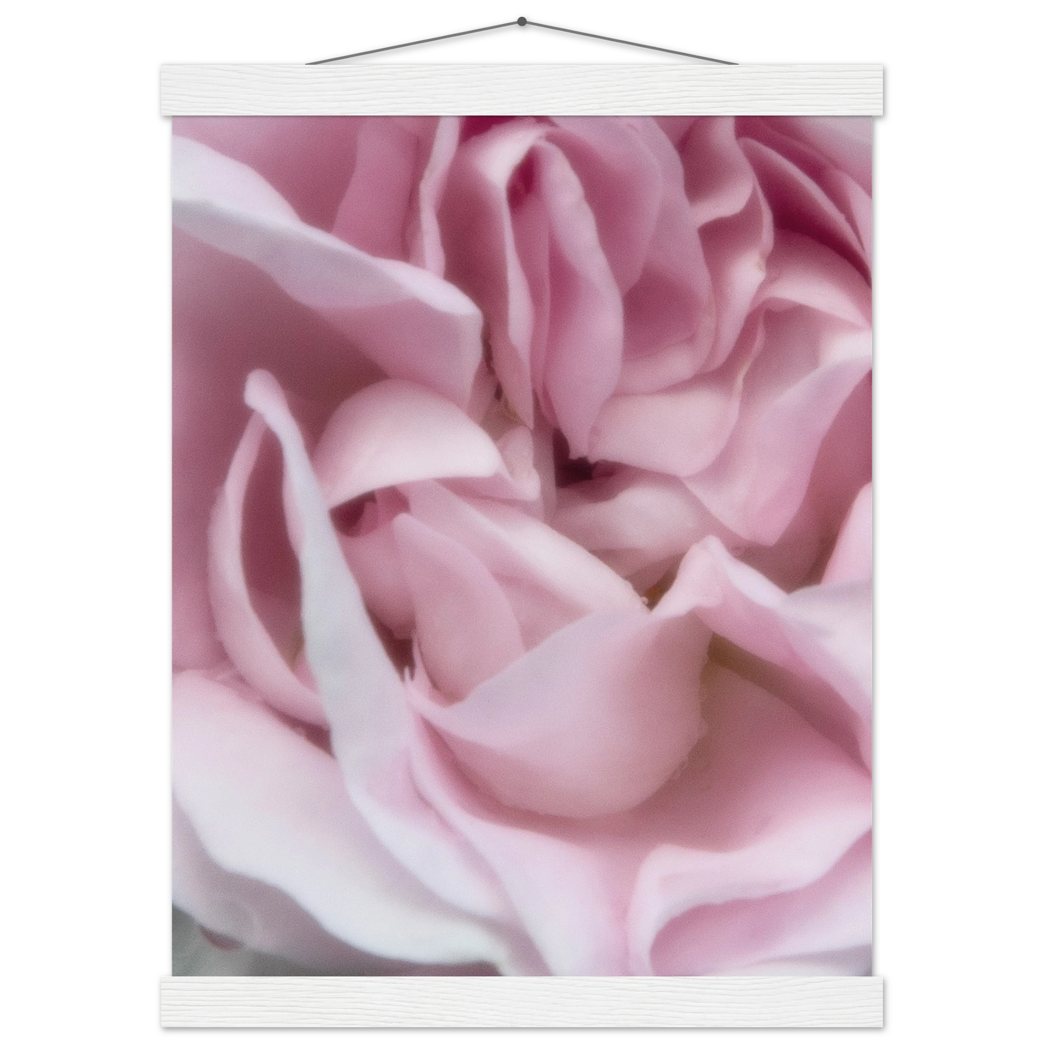 e30587c8-7cea-4df1-a6d8-a6f779ead655