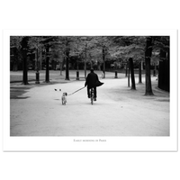 e3613195-3f0c-4bc6-8afe-33d5b3be2bf6