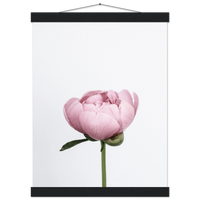 e38a67d0-addf-48a3-8416-a34516d21374