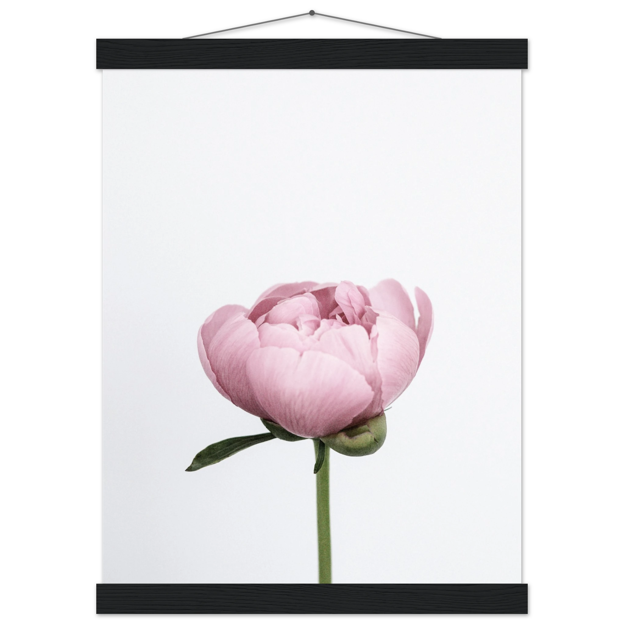 e38a67d0-addf-48a3-8416-a34516d21374