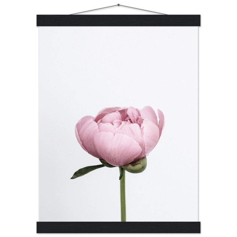 e38a67d0-addf-48a3-8416-a34516d21374