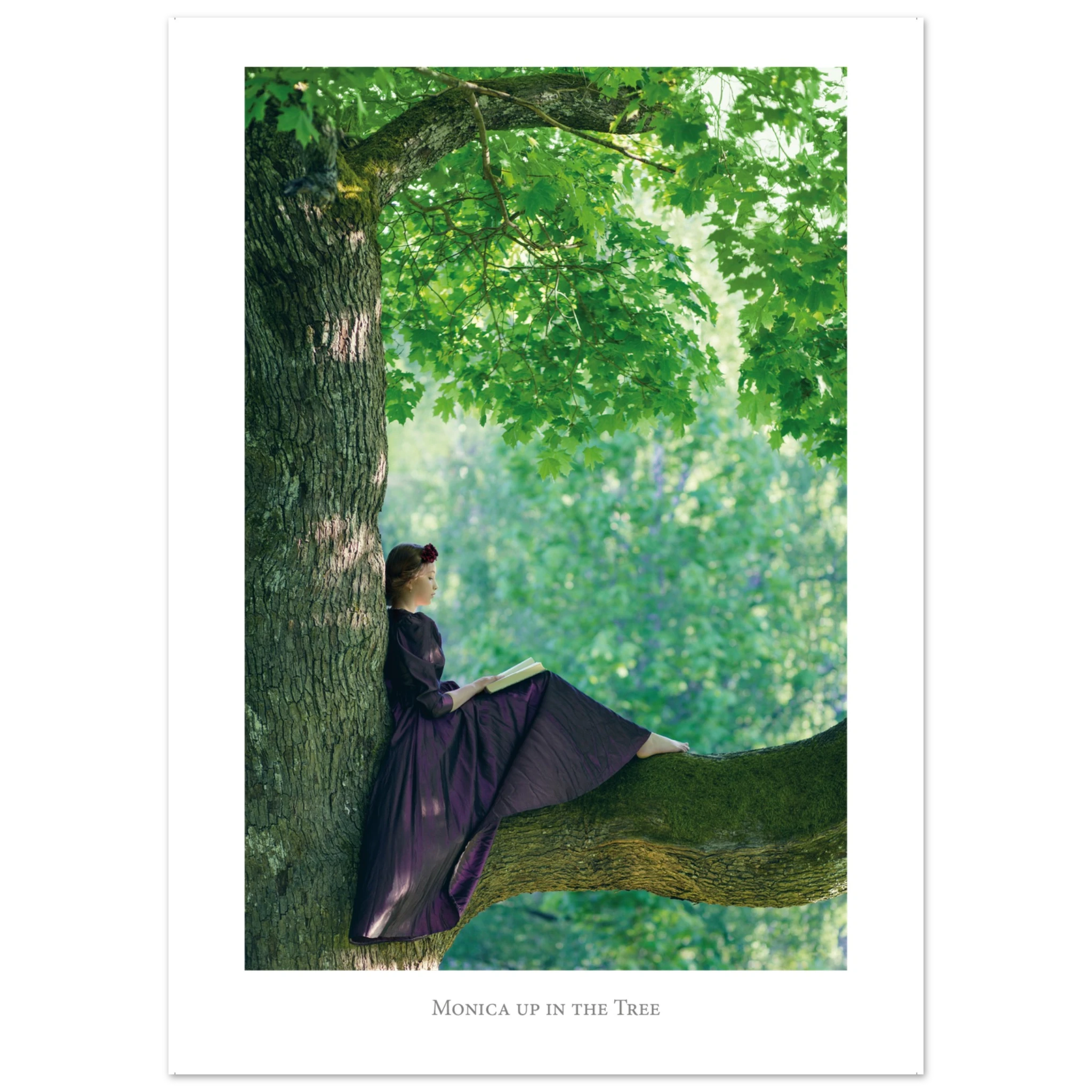 e3c079cb-bf72-448f-8bc1-d1afe6a12660