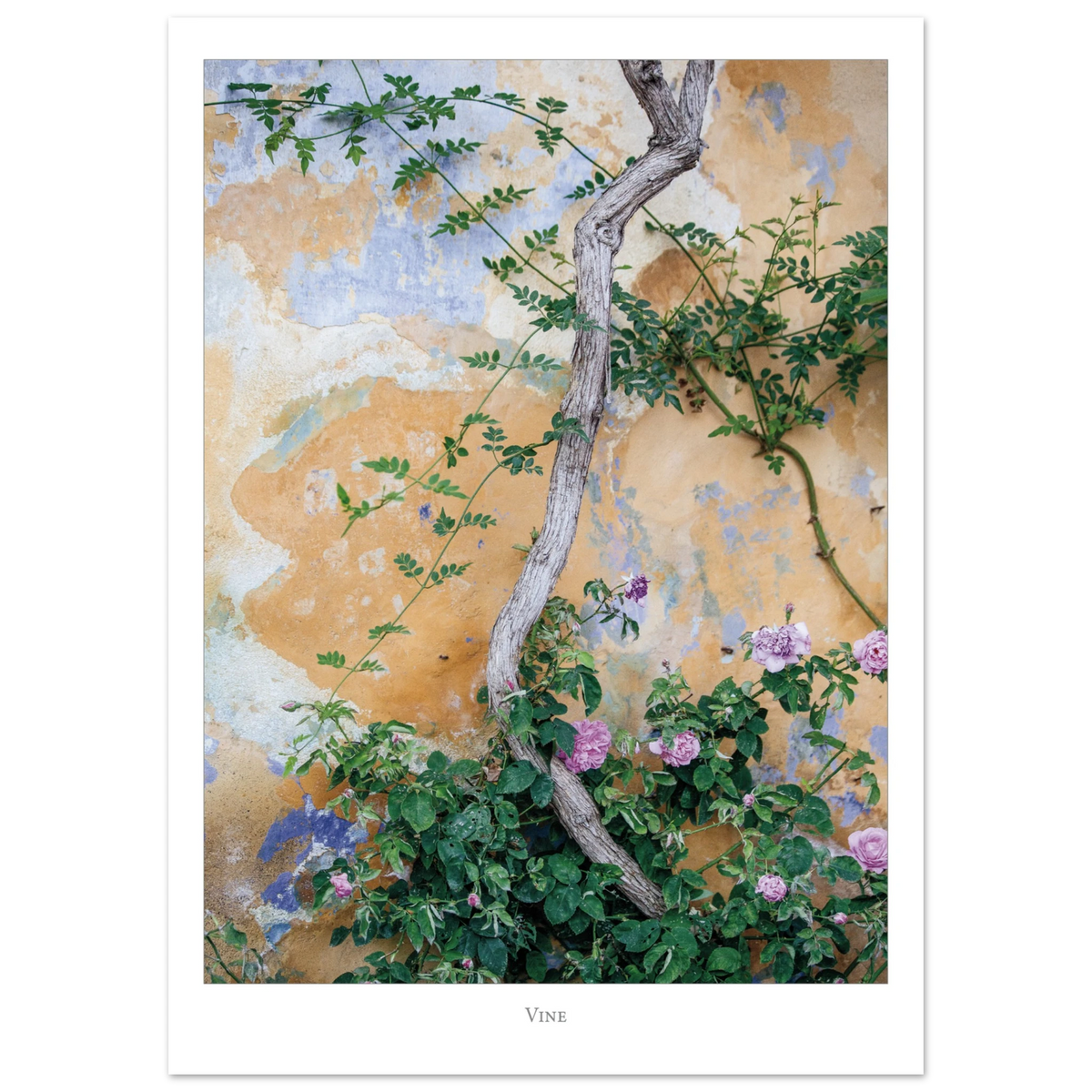 e3cd07f6-1c78-44d2-948f-9617e2cbec47