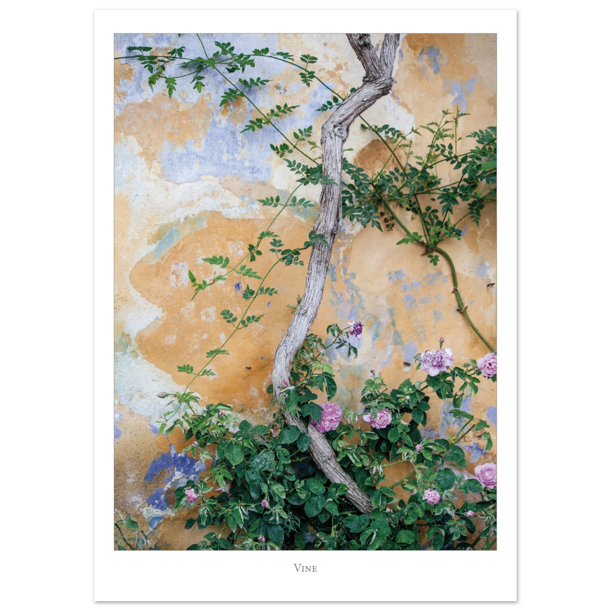 e3cd07f6-1c78-44d2-948f-9617e2cbec47