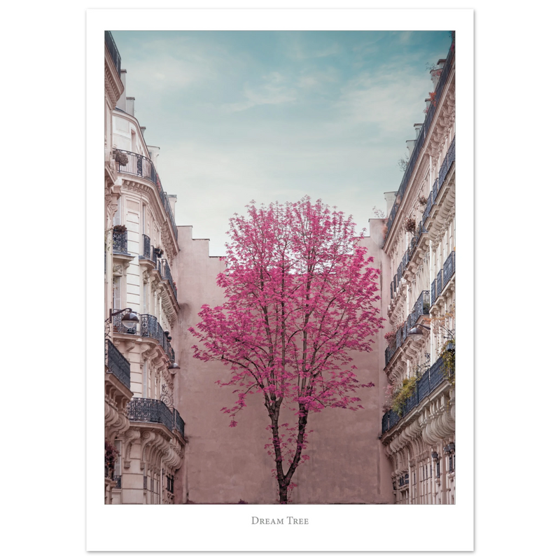 e43d4b12-ab64-49b5-b3b9-1ae05fc509fd