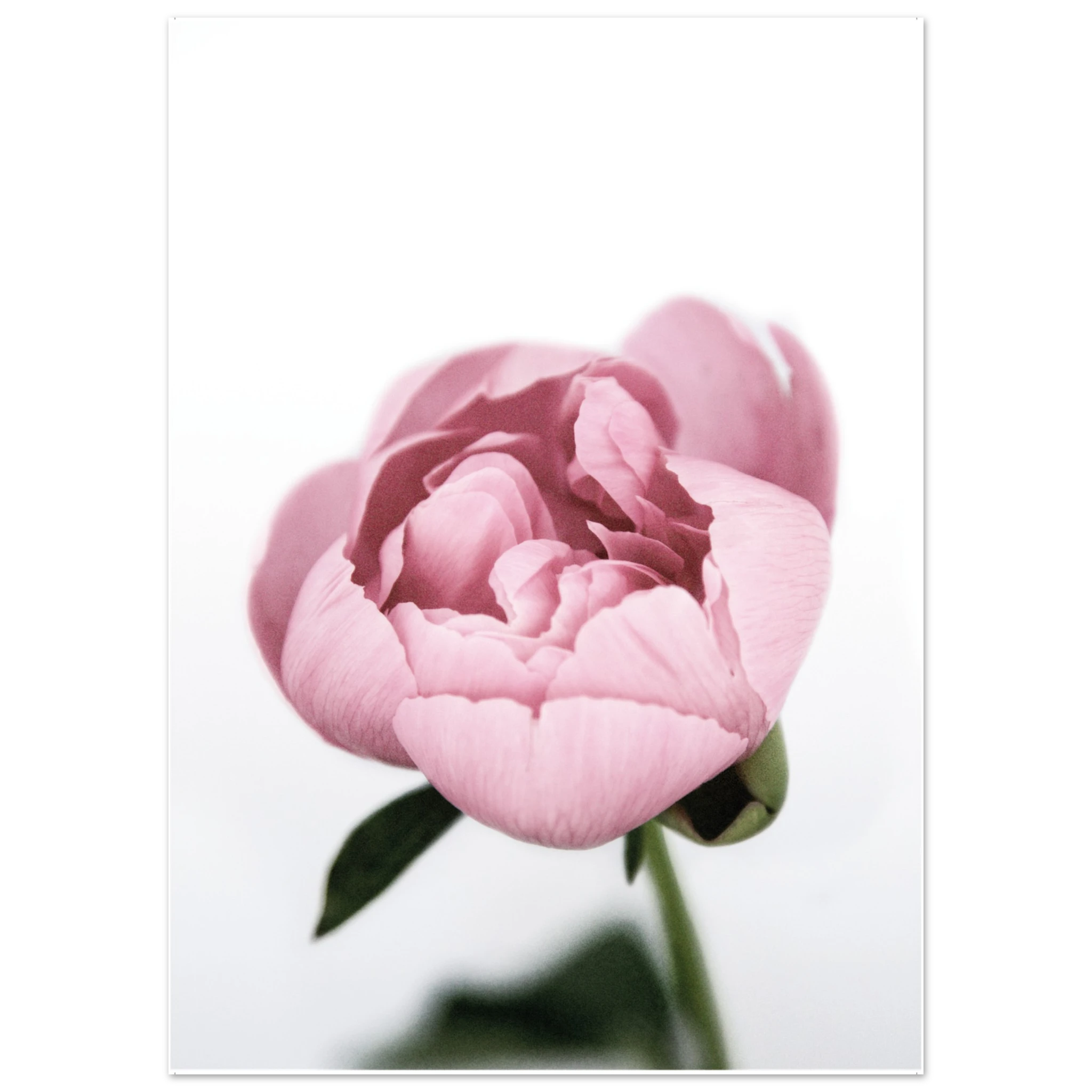 e52087b4-73c5-4337-a592-61c4ba2ba67f