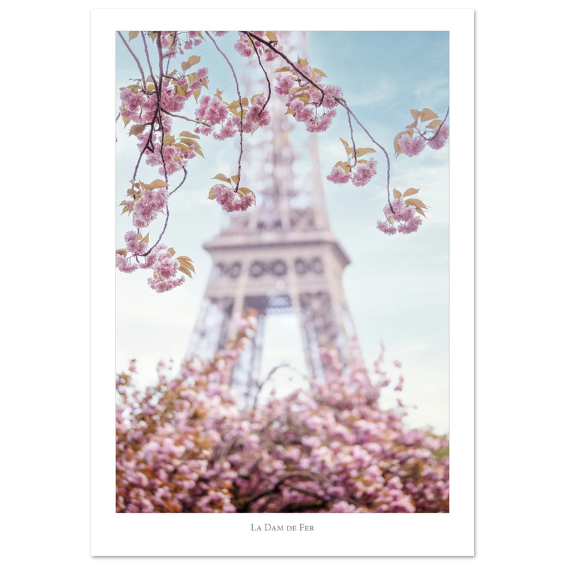 e55aea07-adf1-47ad-8858-03ec2636bb0d