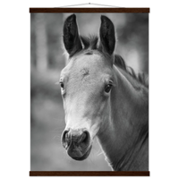 e585ef1a-717f-4624-a9f7-d3e3fb10c766