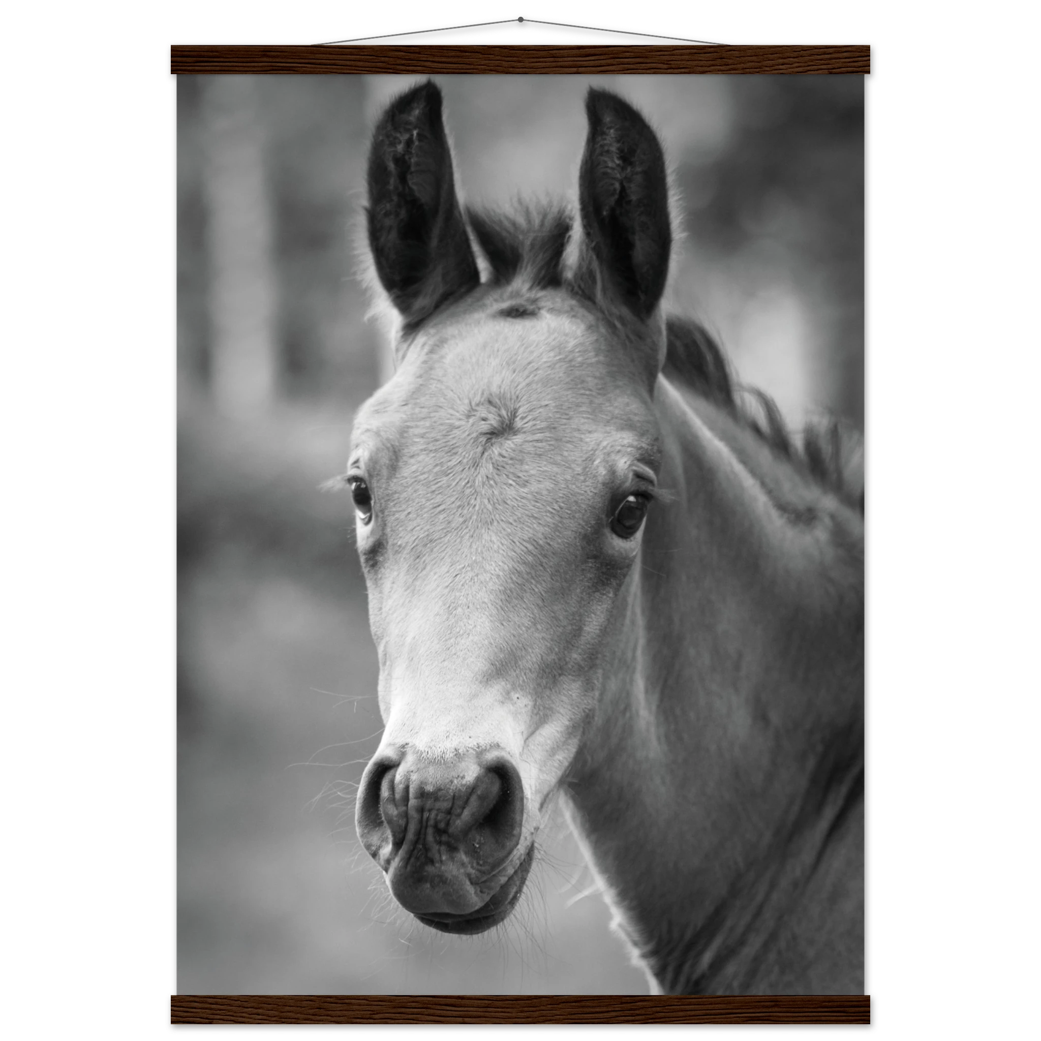 e585ef1a-717f-4624-a9f7-d3e3fb10c766