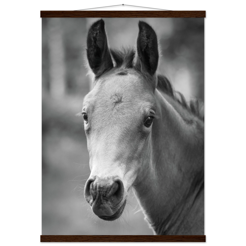 e585ef1a-717f-4624-a9f7-d3e3fb10c766