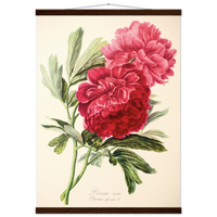 e5fd59b7-6dc5-43b7-8a3f-09b115989d02