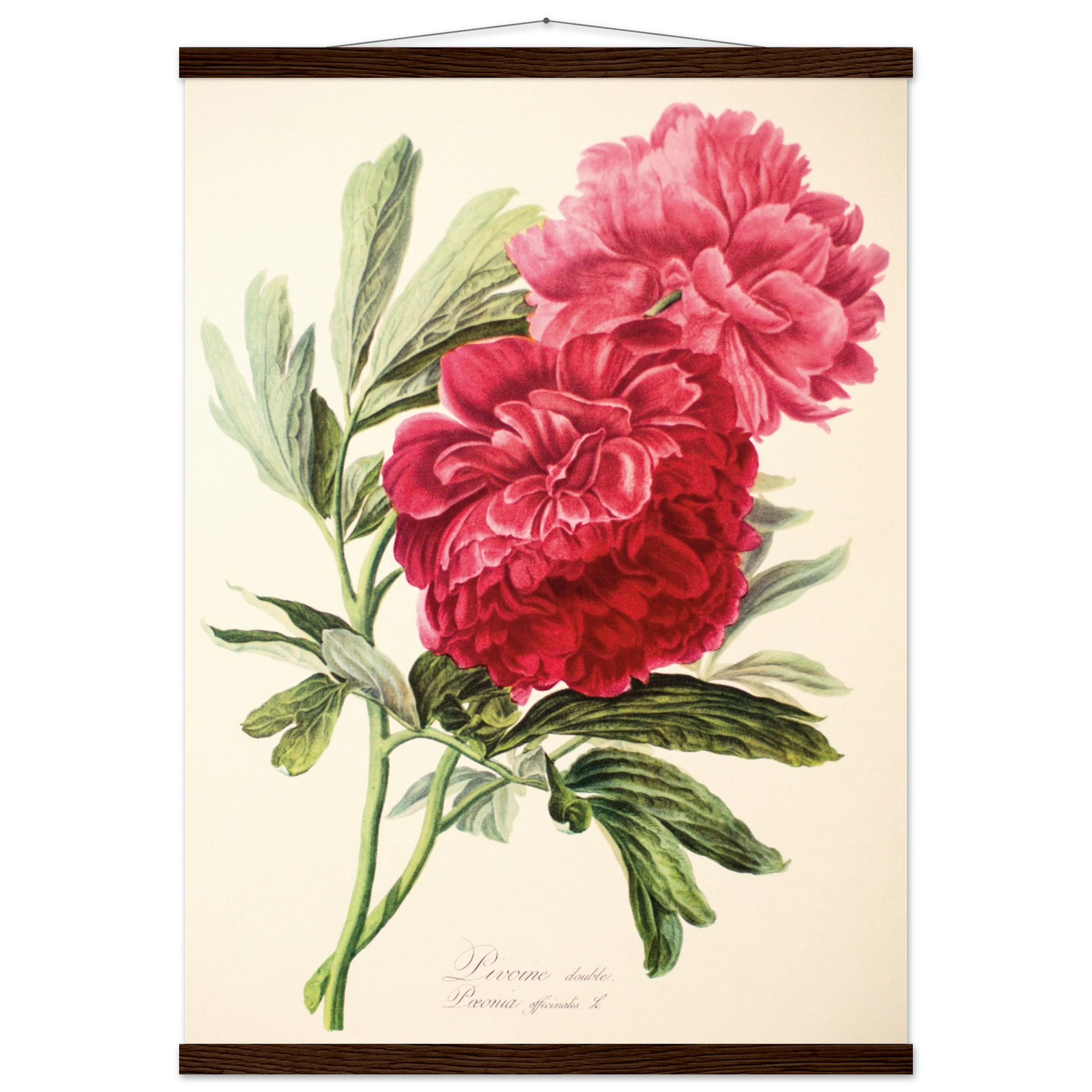 e5fd59b7-6dc5-43b7-8a3f-09b115989d02