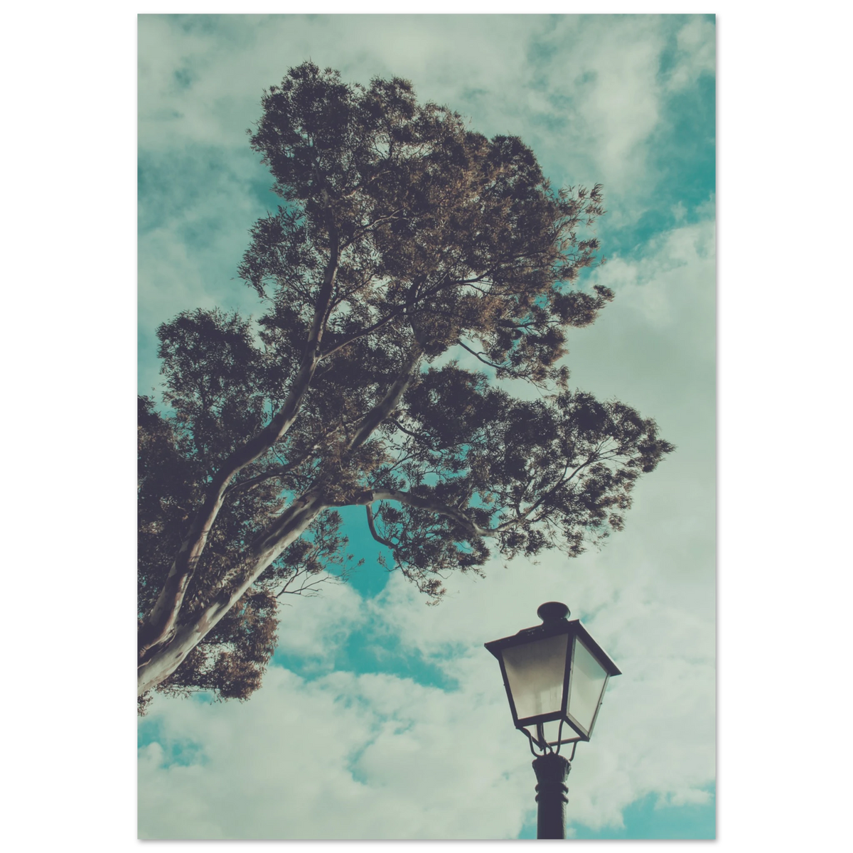 e62e8aad-8954-4f6d-bd64-206400d064cb