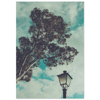 e62e8aad-8954-4f6d-bd64-206400d064cb