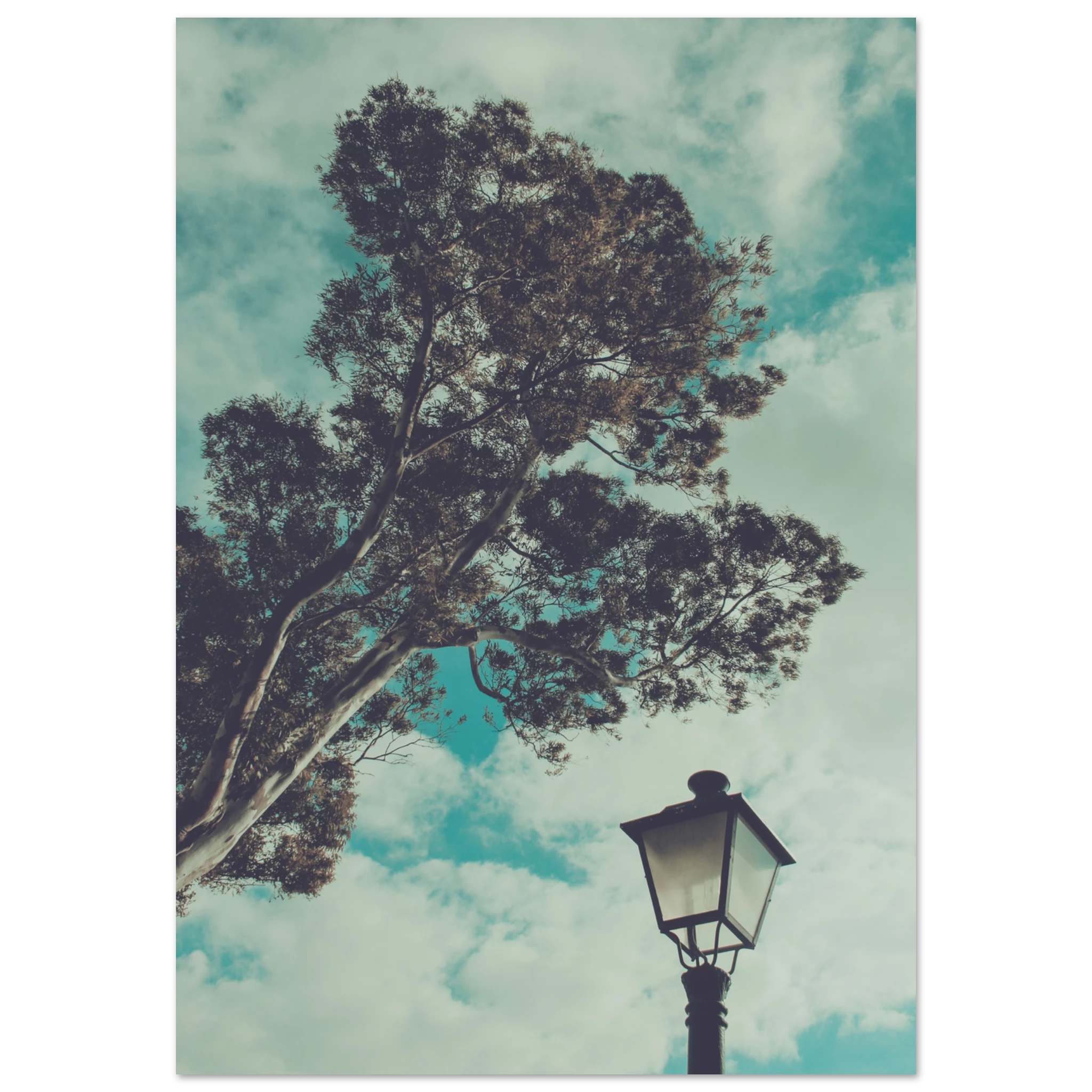 e62e8aad-8954-4f6d-bd64-206400d064cb