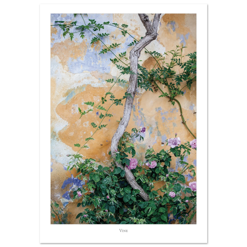 e8f4b04d-cd2c-4813-b27e-5bf2c7182288