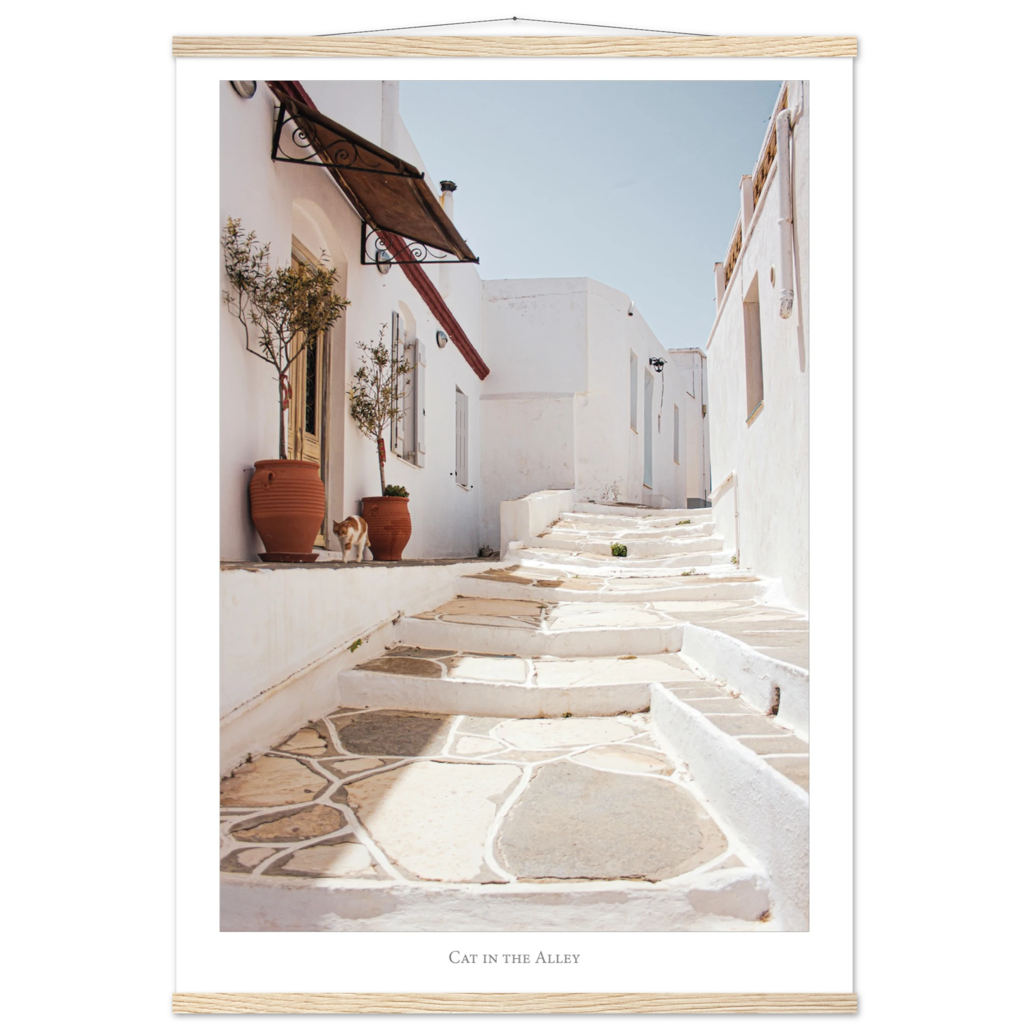 e9f135c6-b48e-4c36-b254-731a04f89775