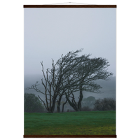 ec071f69-7358-4850-a0ef-1ed036f71ffb