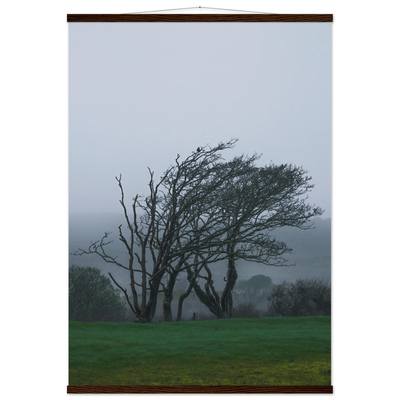 ec071f69-7358-4850-a0ef-1ed036f71ffb