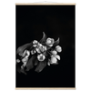 ec173bfb-f11d-4ada-a7f0-2a63de9c3fdf