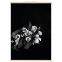 ec173bfb-f11d-4ada-a7f0-2a63de9c3fdf