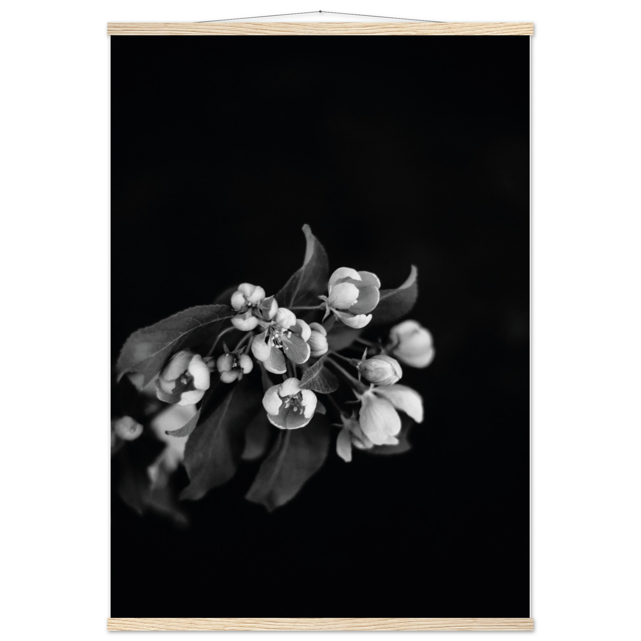 ec173bfb-f11d-4ada-a7f0-2a63de9c3fdf