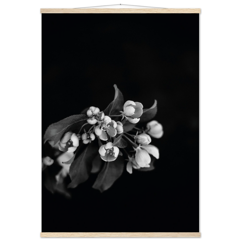 ec173bfb-f11d-4ada-a7f0-2a63de9c3fdf