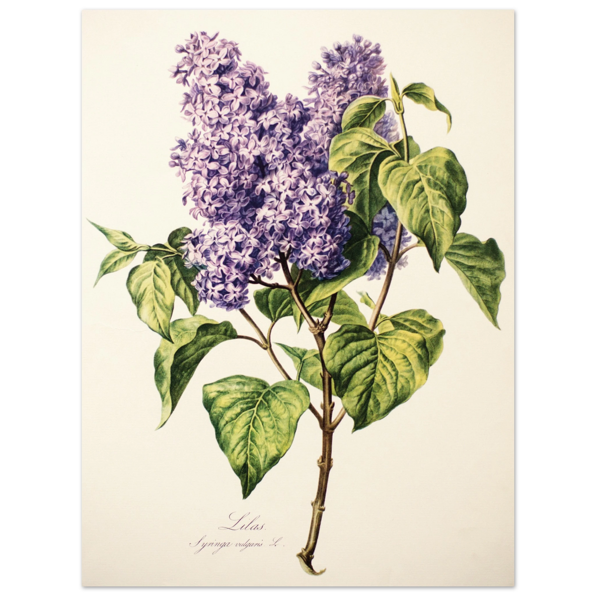 edb0d1f1-7251-4c5c-a5b1-a6f98d414859