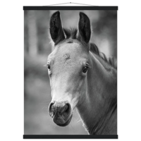 ede43c4e-aa8a-42a5-b669-9230545e22da