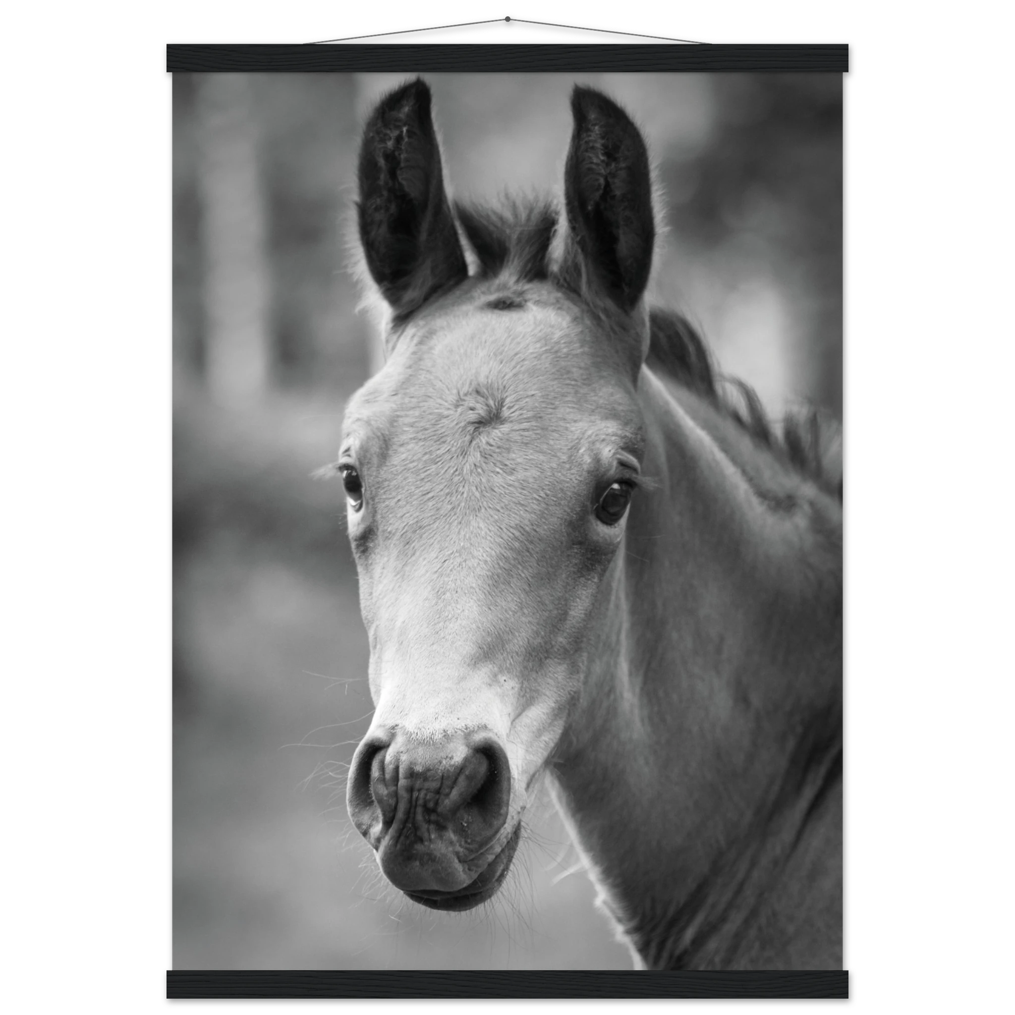 ede43c4e-aa8a-42a5-b669-9230545e22da