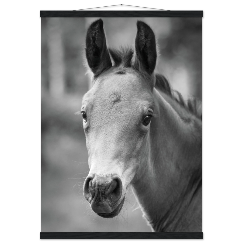 ede43c4e-aa8a-42a5-b669-9230545e22da