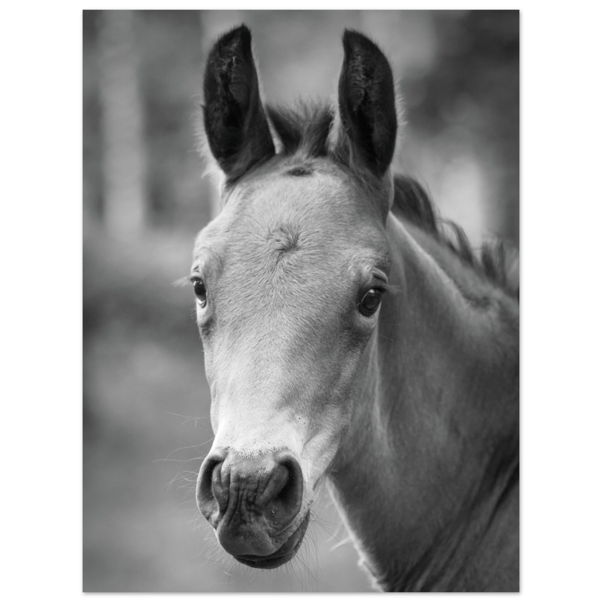 eea5af04-4666-483c-96e6-ead70026bc43