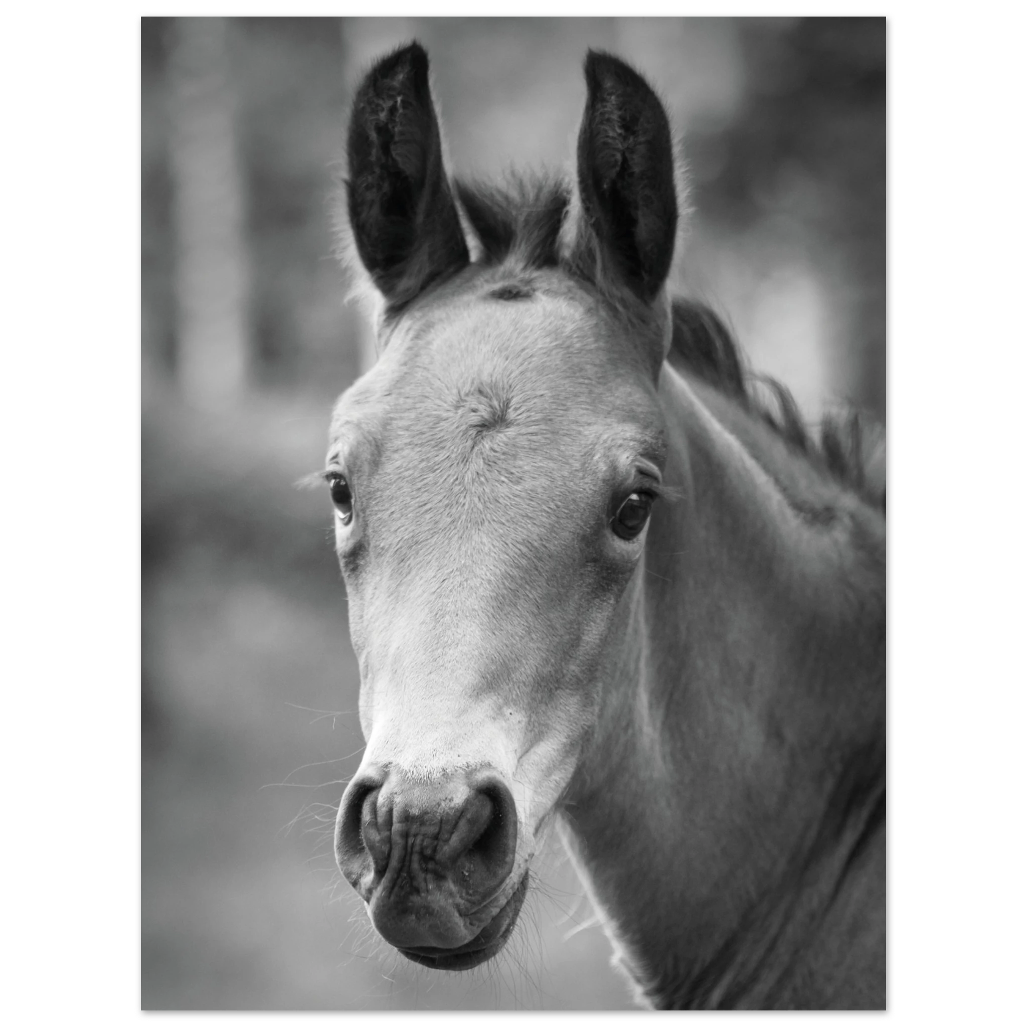 eea5af04-4666-483c-96e6-ead70026bc43