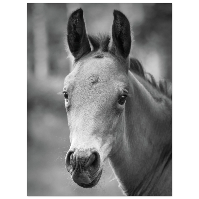 eea5af04-4666-483c-96e6-ead70026bc43