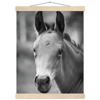 f05ca20a-6f45-482b-b352-8629c847eb3d