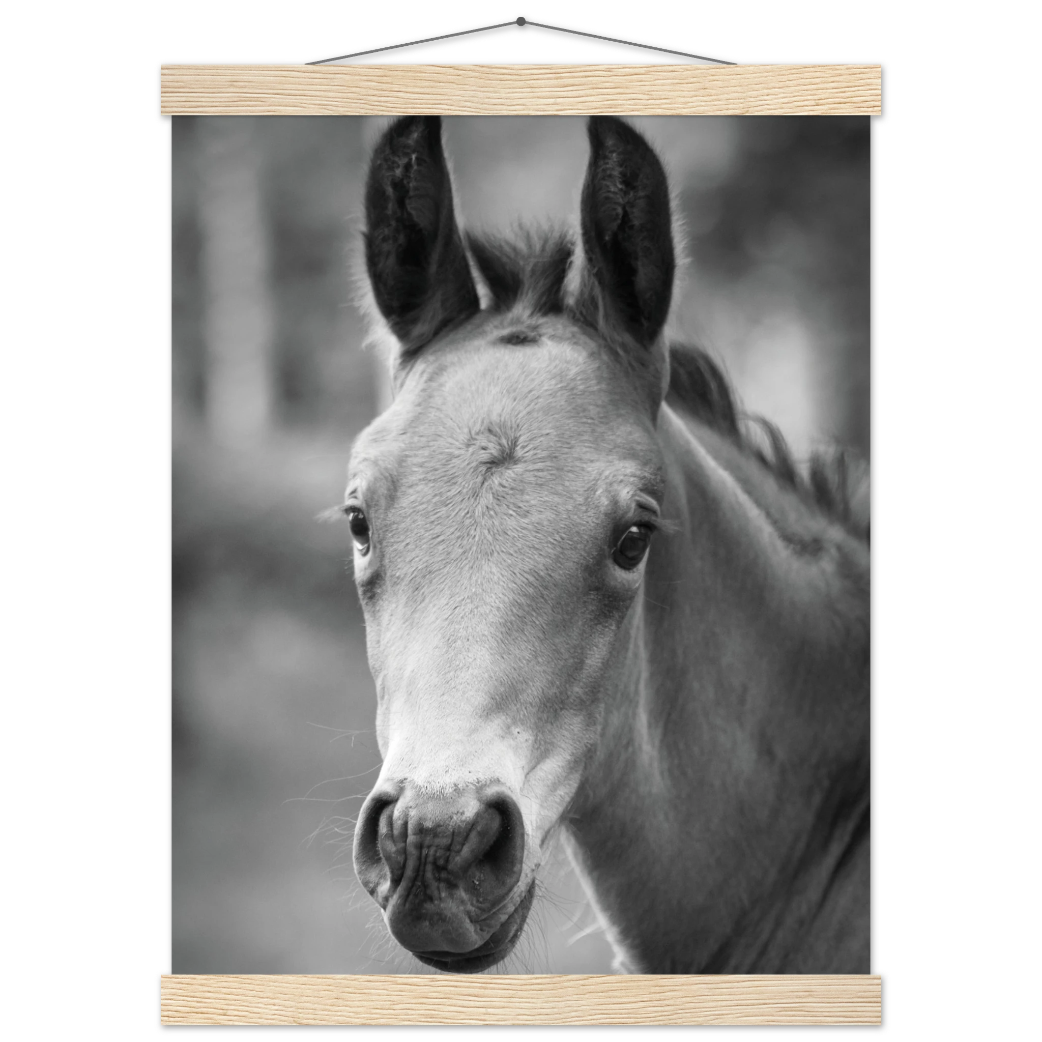 f05ca20a-6f45-482b-b352-8629c847eb3d