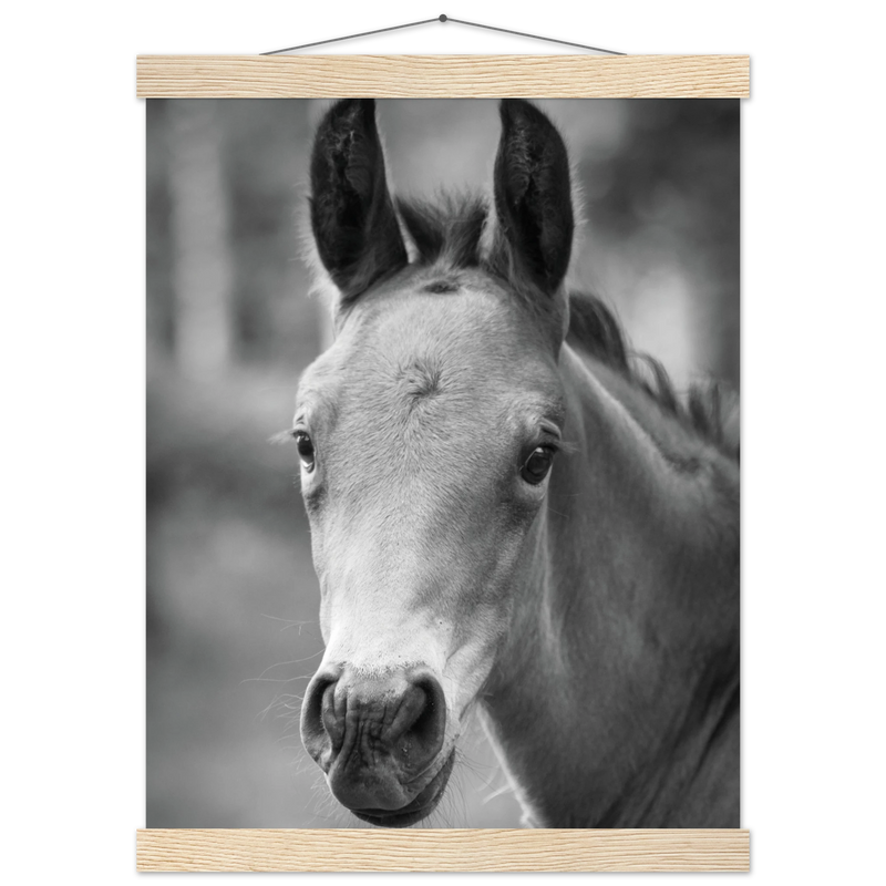 f05ca20a-6f45-482b-b352-8629c847eb3d