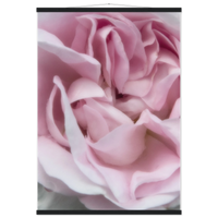f171f151-3729-4ee4-bd78-1eda6b1198b3