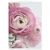 f17dc5e8-3d47-4e5d-baf0-651251f5fef9