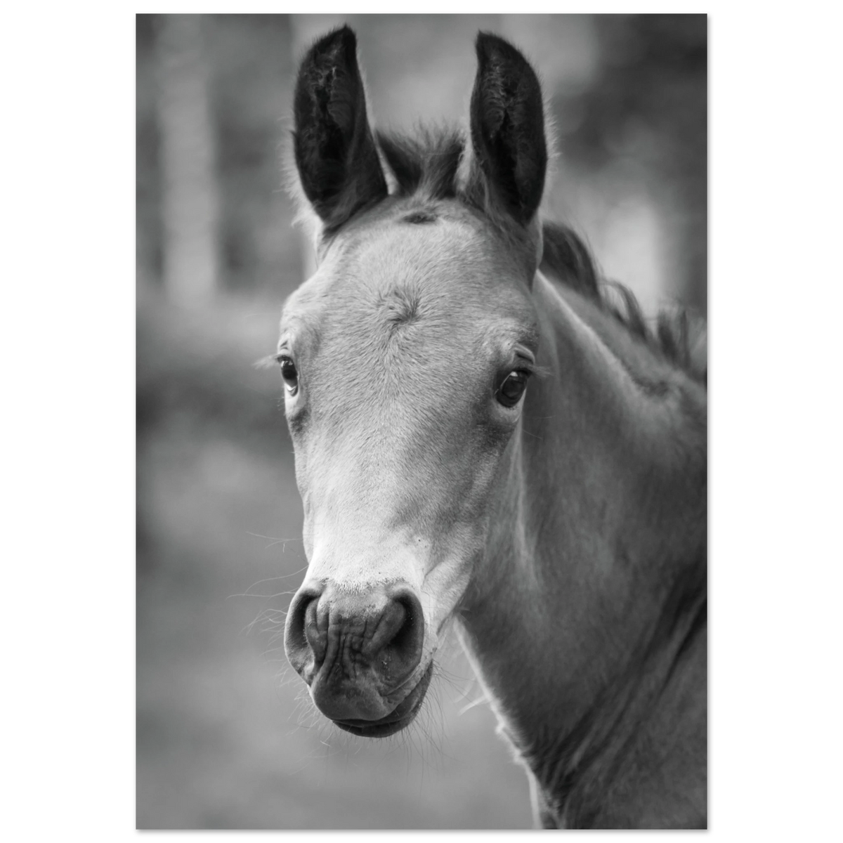 f1abd403-256d-4c79-ac35-493d33fa7e3b