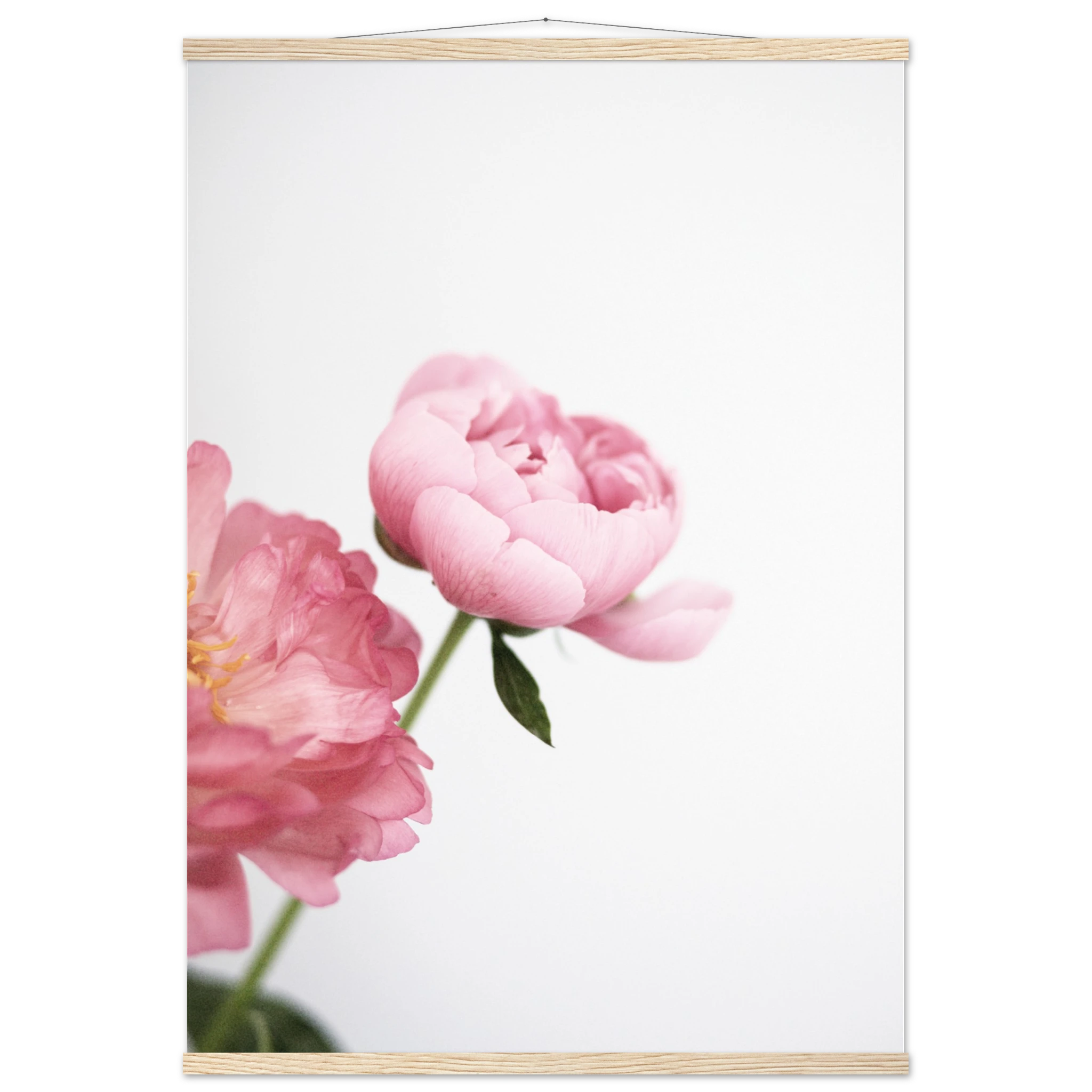 f1b57978-1bc0-46f5-822d-55552306bcfa